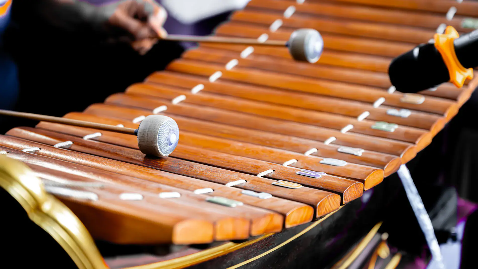 Wooden xylophone with mallets — African instrument programme at Concerto Music Place