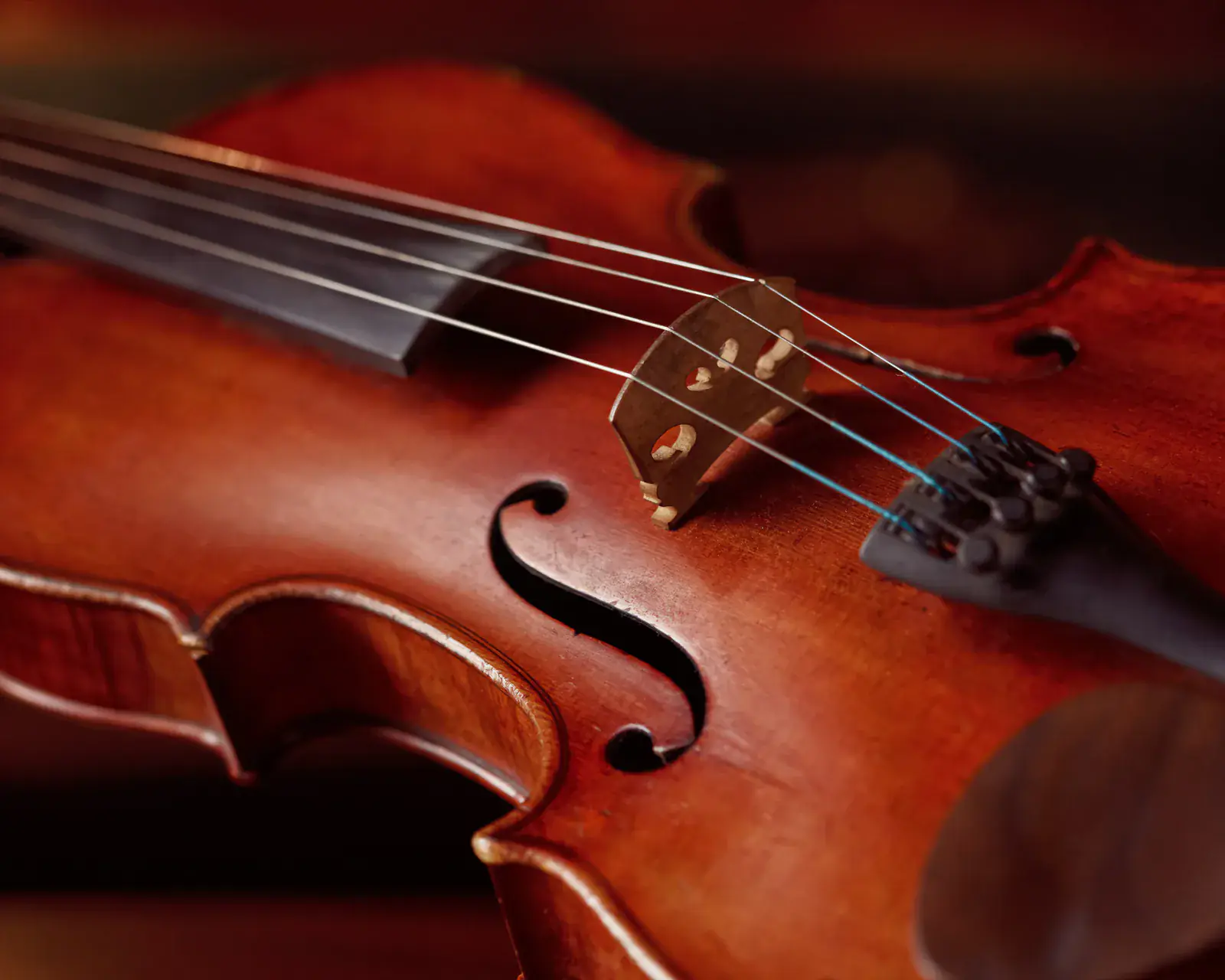 Close-up of a textured violin — strings programme at Concerto Music Place